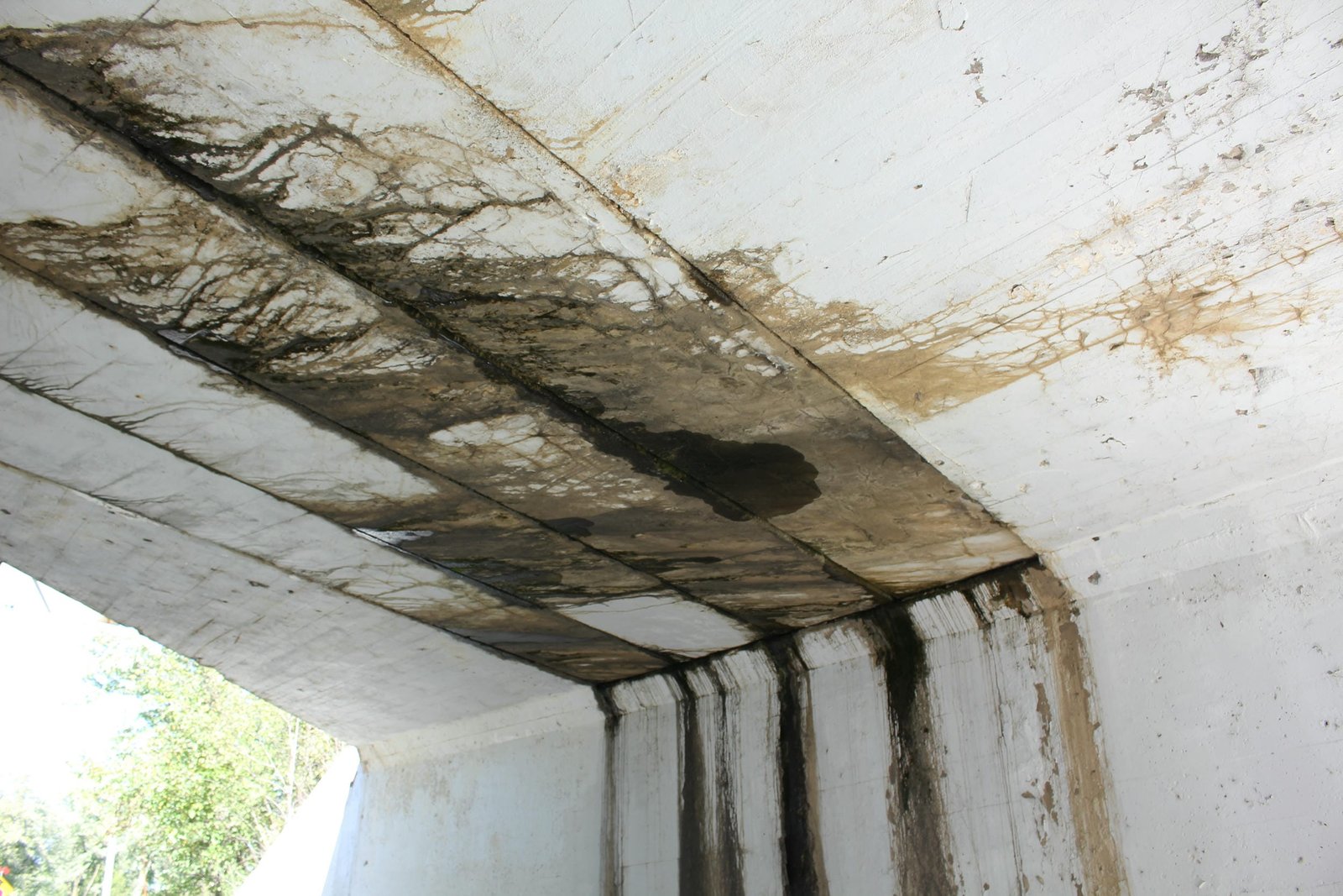 Under bridge